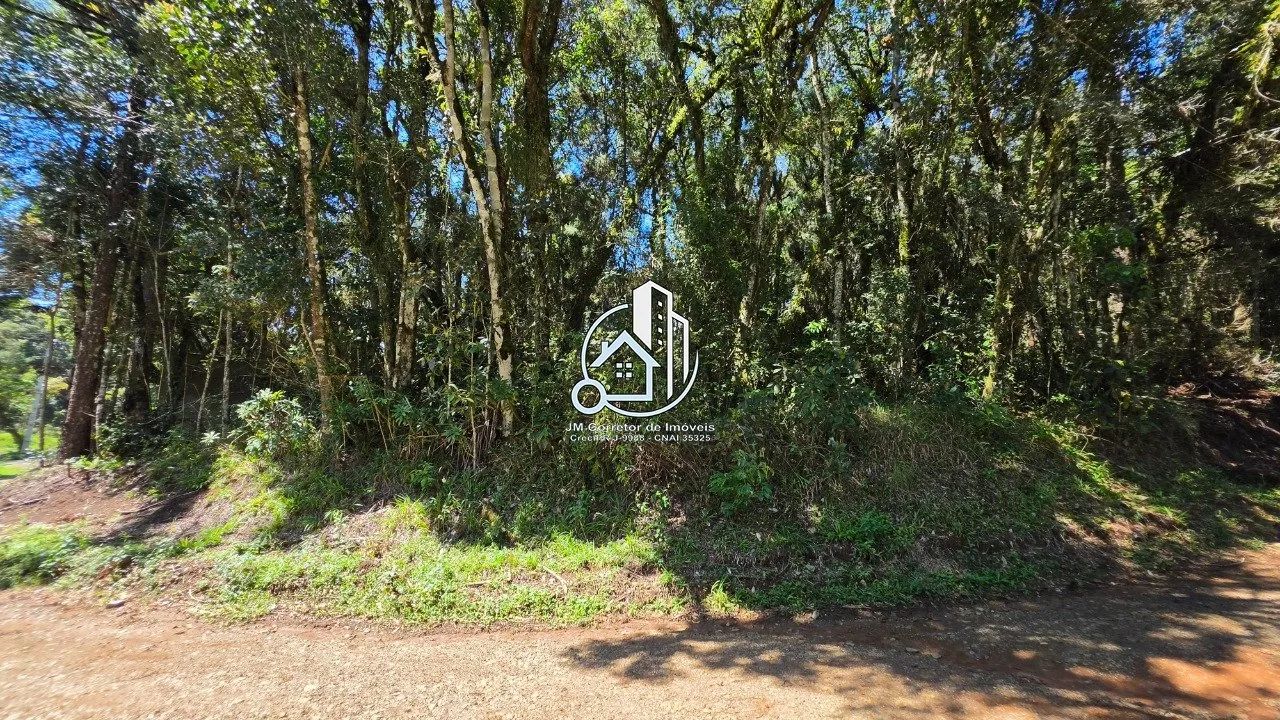 Chácara urbana em Quatro Barras/Pr, com 2500m² - Foto 5