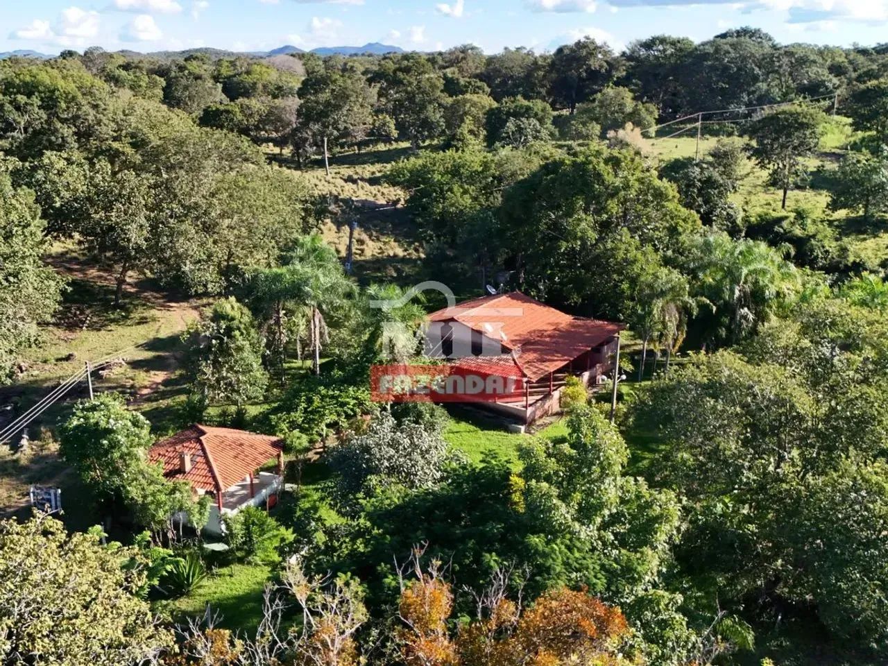 Chácara 10.5 Alqueires (51 hectares) Crixás - GO