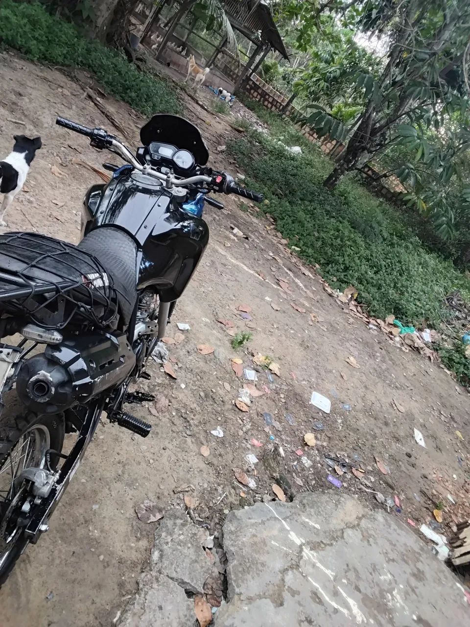 Tenere 250 - Foto 3