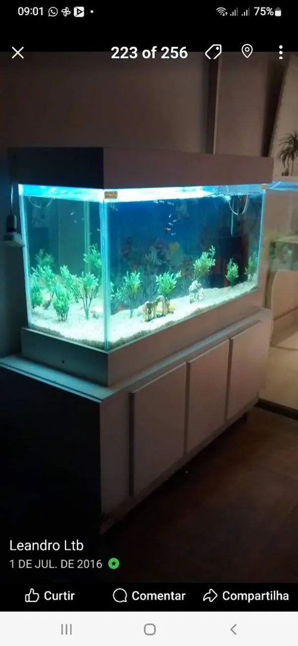AQUÁRIO  - Foto 2