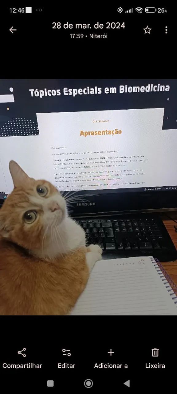 Auxílio Acadêmico
