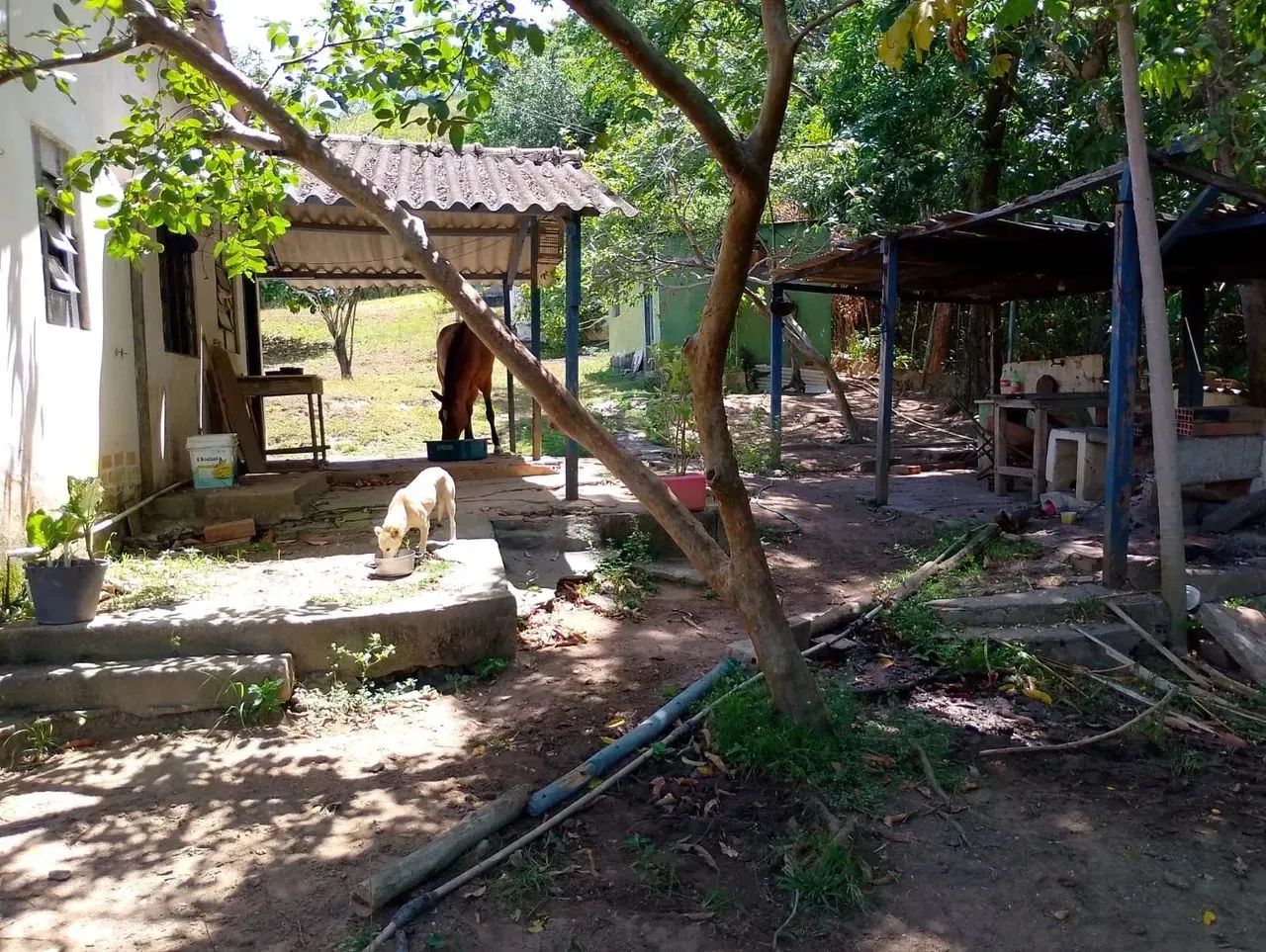 Sitio com 2800 m2 em Seropedica com casa de 4 qts - Foto 9