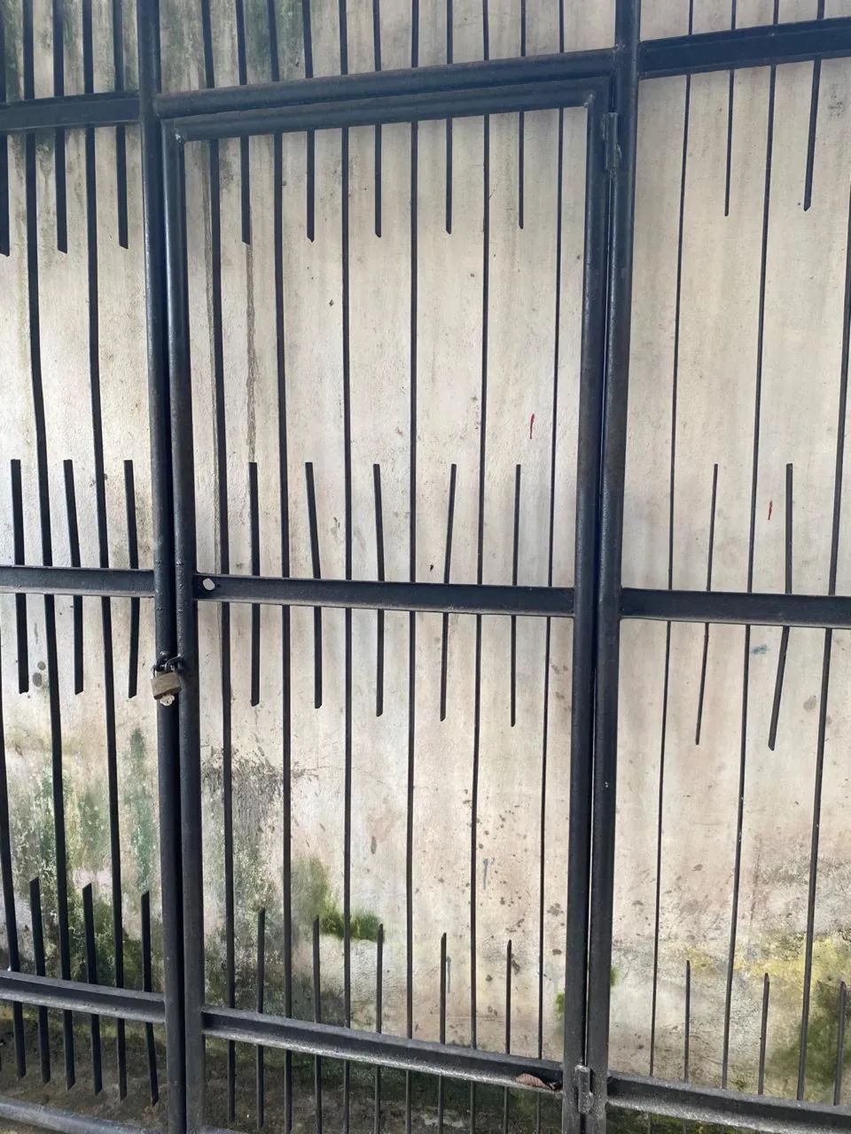 Iron Gate442917549748398083