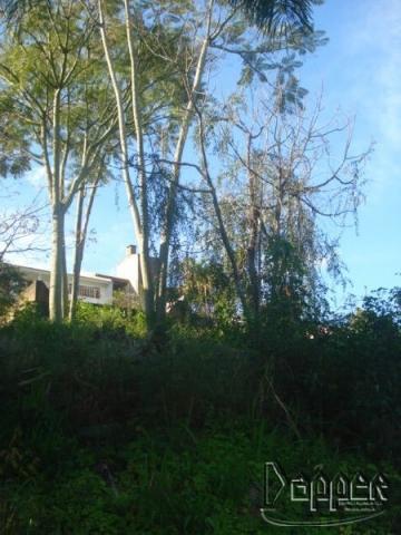 Terreno à venda em Boa vista, Novo hamburgo cod:5583 - Foto 2