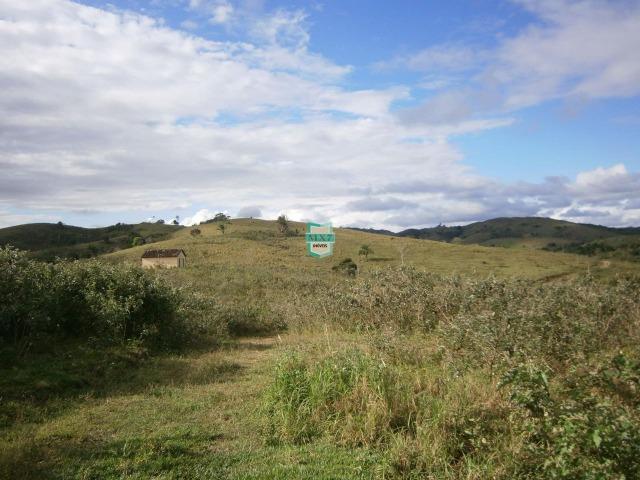 Fazenda Pecuária no Gongogi de 1.100 Hectares. Melhor custo beneficio - Foto 15