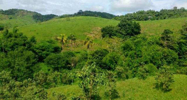Belíssima Propriedade em Cachoeiras de Macacu medindo 200.000m2 oportunidade!!! - Foto 3