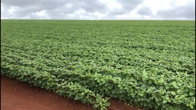 Fazenda em Nobres MT - Foto 6