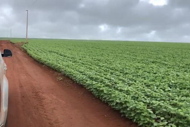 Fazenda em Nobres MT - Foto 4