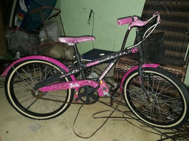 Bicicleta feminina