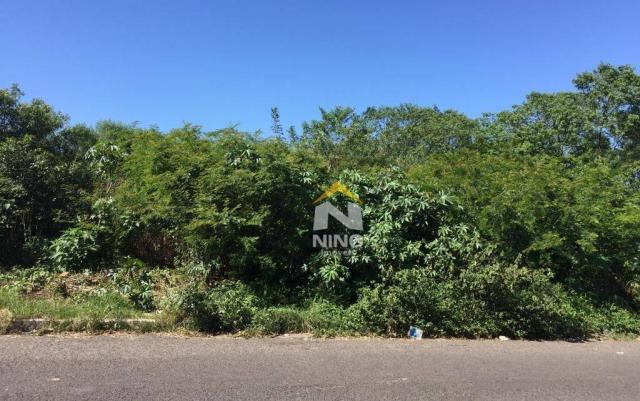 Terreno à venda, 360 m² por R$ 140.000,00 - Bom Sucesso - Gravataí/RS - Foto 5