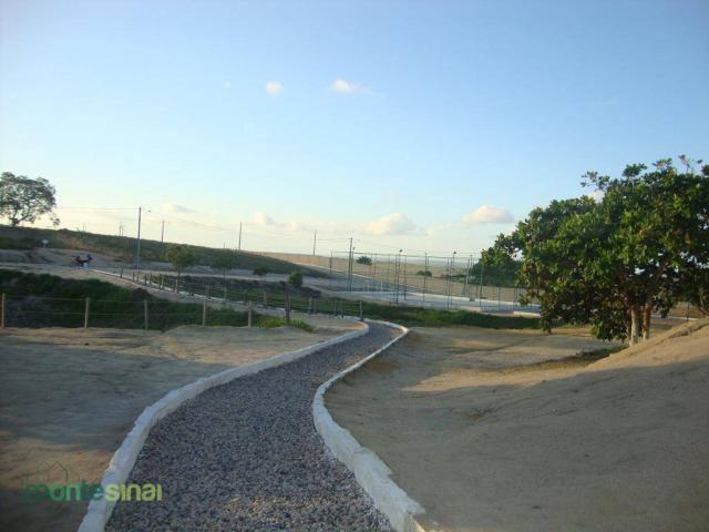 Terreno à venda, 367 m² por R$ 57.000,00 - Condomínio Privê Portal do Agreste - São João/P - Foto 7