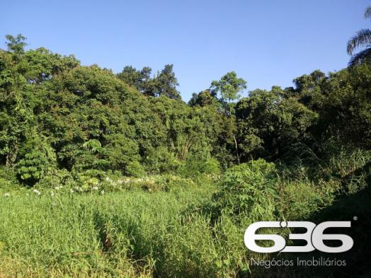 Terreno | Joinville | Santo Antônio - Foto 4