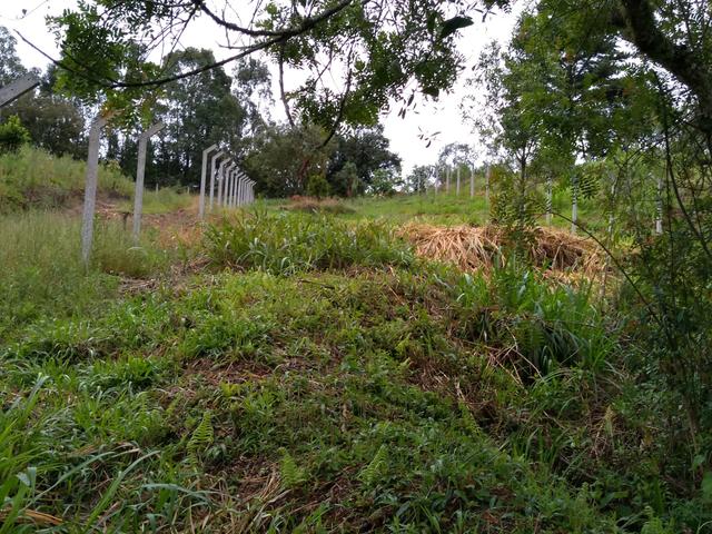 Chácara em fazenda Rio grande - Foto 3
