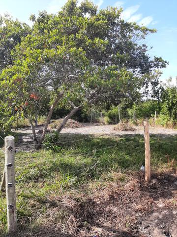Lote Campo Grande, Barra Nova.SM - Foto 6
