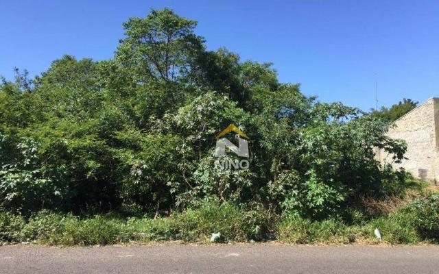 Terreno à venda, 360 m² por R$ 140.000,00 - Bom Sucesso - Gravataí/RS - Foto 6