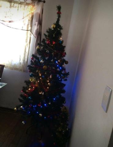 Arvore de natal Mancini 2,10 mtrs 565 pontas
