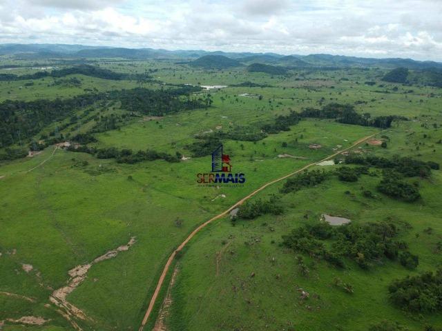 Fazenda à venda, por R$ 10.000.000 - Zona Rural - Presidente Médici/RO - Foto 5