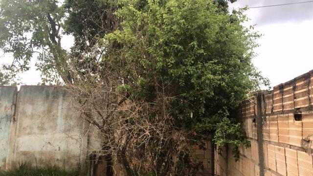 Lote de esquina 360m2 com Casa e Barraco Murado no Jardim Ingá! - Foto 10