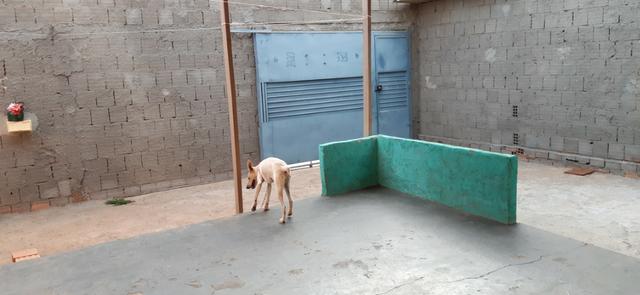 Casa de Esquina Qd. 306, Residencial Oeste, - Aceito Lote e Carro na Cidade - Foto 6