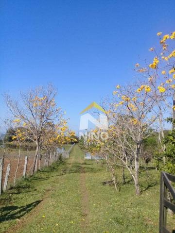 Chácara com 1 dormitório à venda, 50000 m² por r$ 318.000,00 - santa cruz da concórdia - t - Foto 2