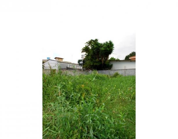 Terreno para alugar em Jardim orlandina, Sao bernardo do campo cod:01927 - Foto 5