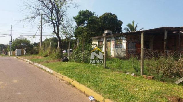 Terreno à venda, 330 m² por r$ 200.000,00 - são jerônimo - gravataí/rs - Foto 4