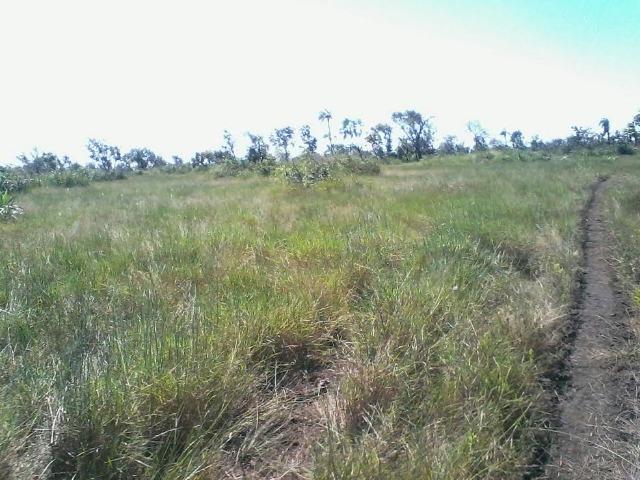 Fazenda em Luciara, MT - Foto 9