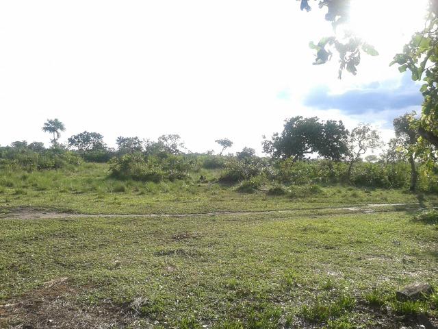 Fazenda em Luciara, MT - Foto 15