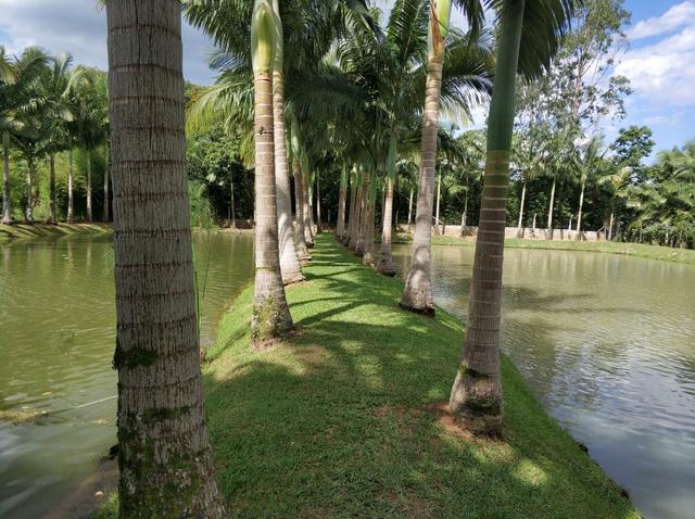 Lindo sitio urbano a menos de 4 km do centro da cidade 3 casas piscina lagoa - Foto 16