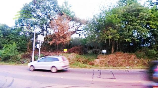 Terreno, Protásio Alves, Porto Alegre-RS - Foto 2