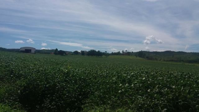 Fazenda à venda: 130 km de Brasília - DF, 1.683 hectares - R$ 40.000.000,00 - Foto 8