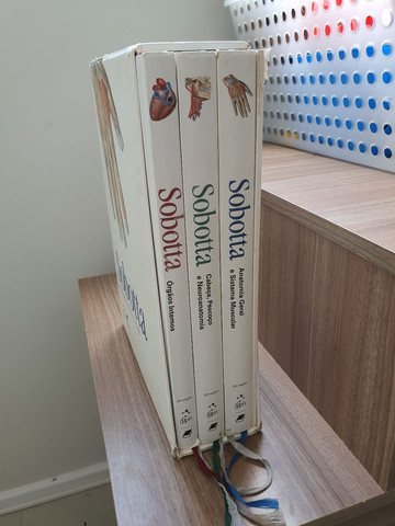 ATLAS DE ANATOMIA SOBOTTA - Foto 5