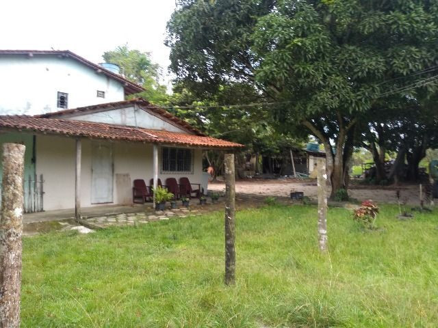 Sitio no cupiuba em Castanhal-Pa 100x450 R$ 120 mil reais troco em casa em Castanhal - Foto 7
