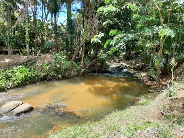 Alugamos Sítio com Cachoeira - Santa Leopoldina - Foto 5