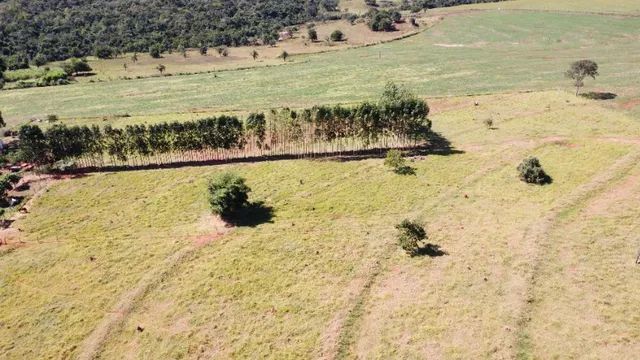 Chácara 9 hectares a 1,5 km da cidade de Bandeirantes - MS! - Foto 3