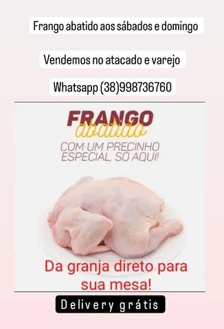Frango abatido do dia