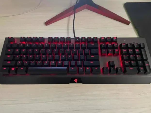 Razer Blackwidow X Chroma - Foto 2