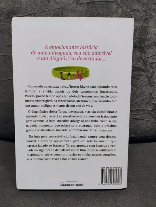Os cães nunca deixam de amar - Foto 2