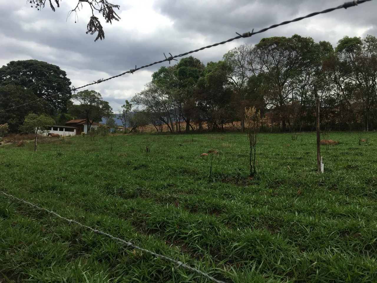 Lote 1000M2 plano