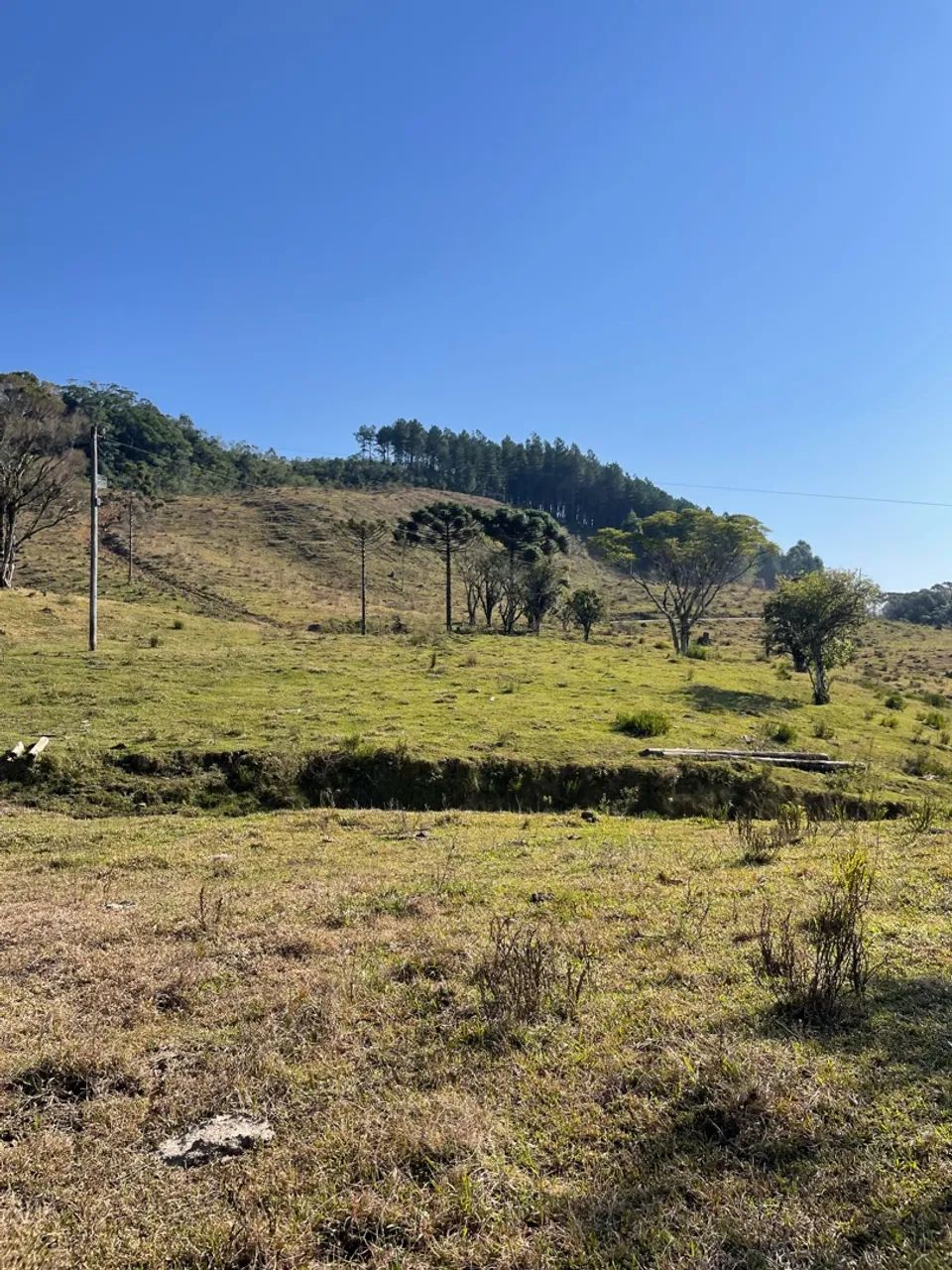 Sítios em Anitápolis  - Foto 3