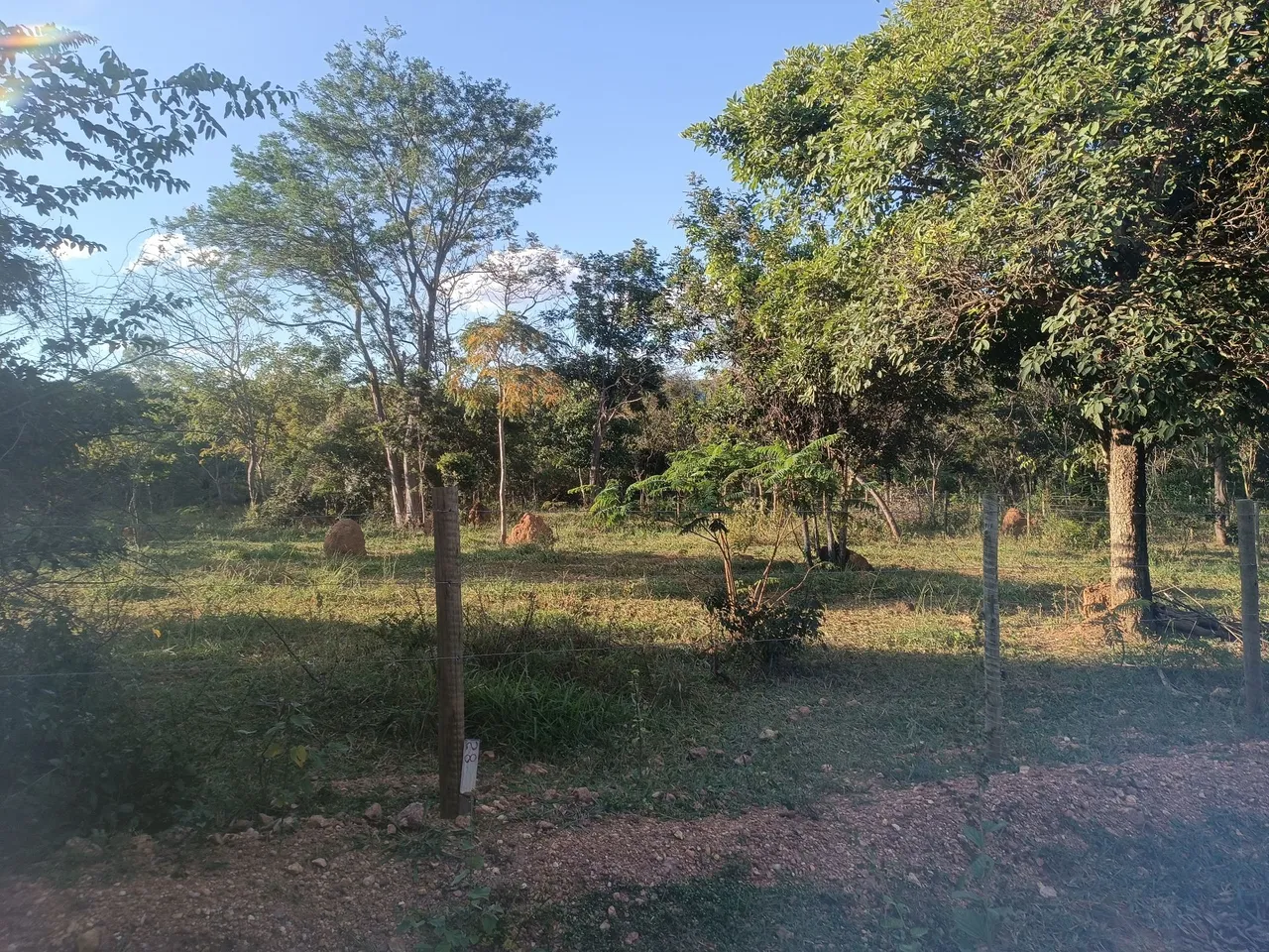Chácara 1000 metros 70 mil em Baldim