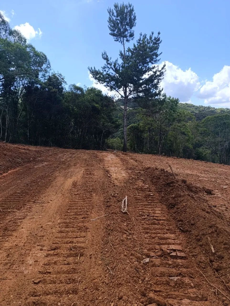 VENDO Lindo Terreno com 4000 m² - Bateias / Campo Largo - Foto 4