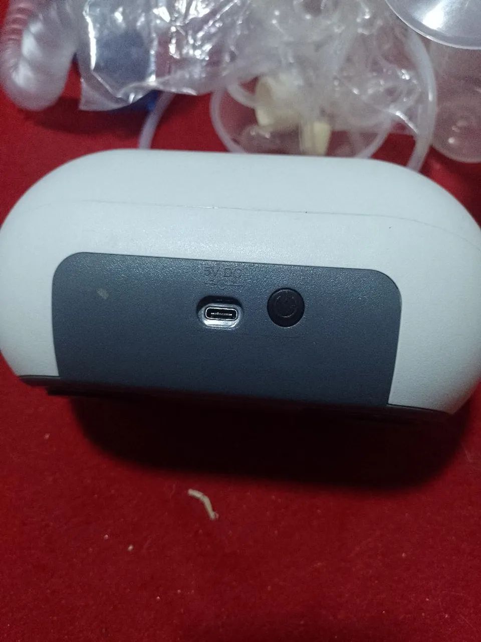 Ordenia umana  - Foto 5