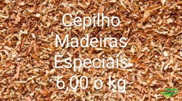 Cepilho de Madeiras Especiais - 6,00 o kg