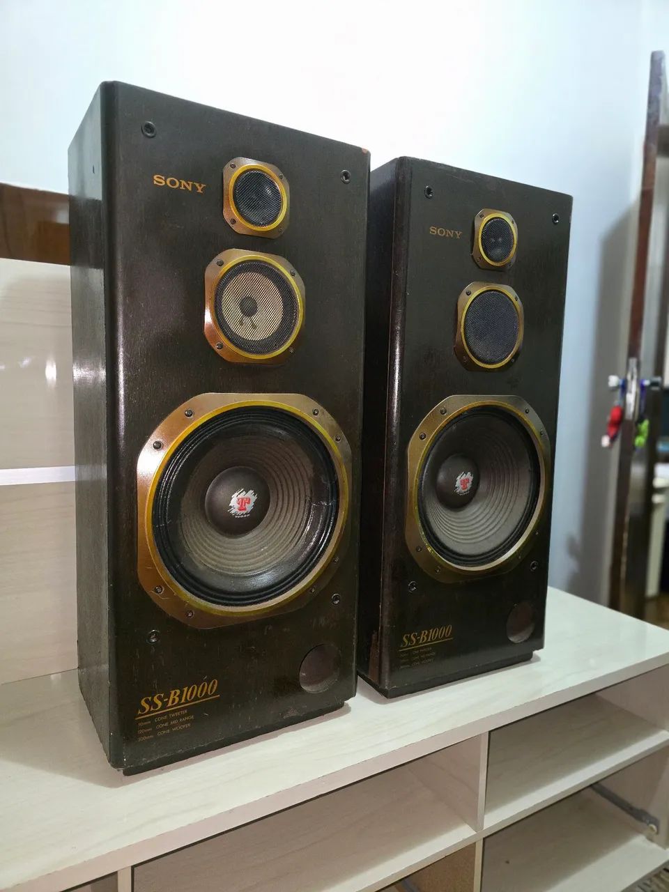 CAIXAS SONY SSB1000!