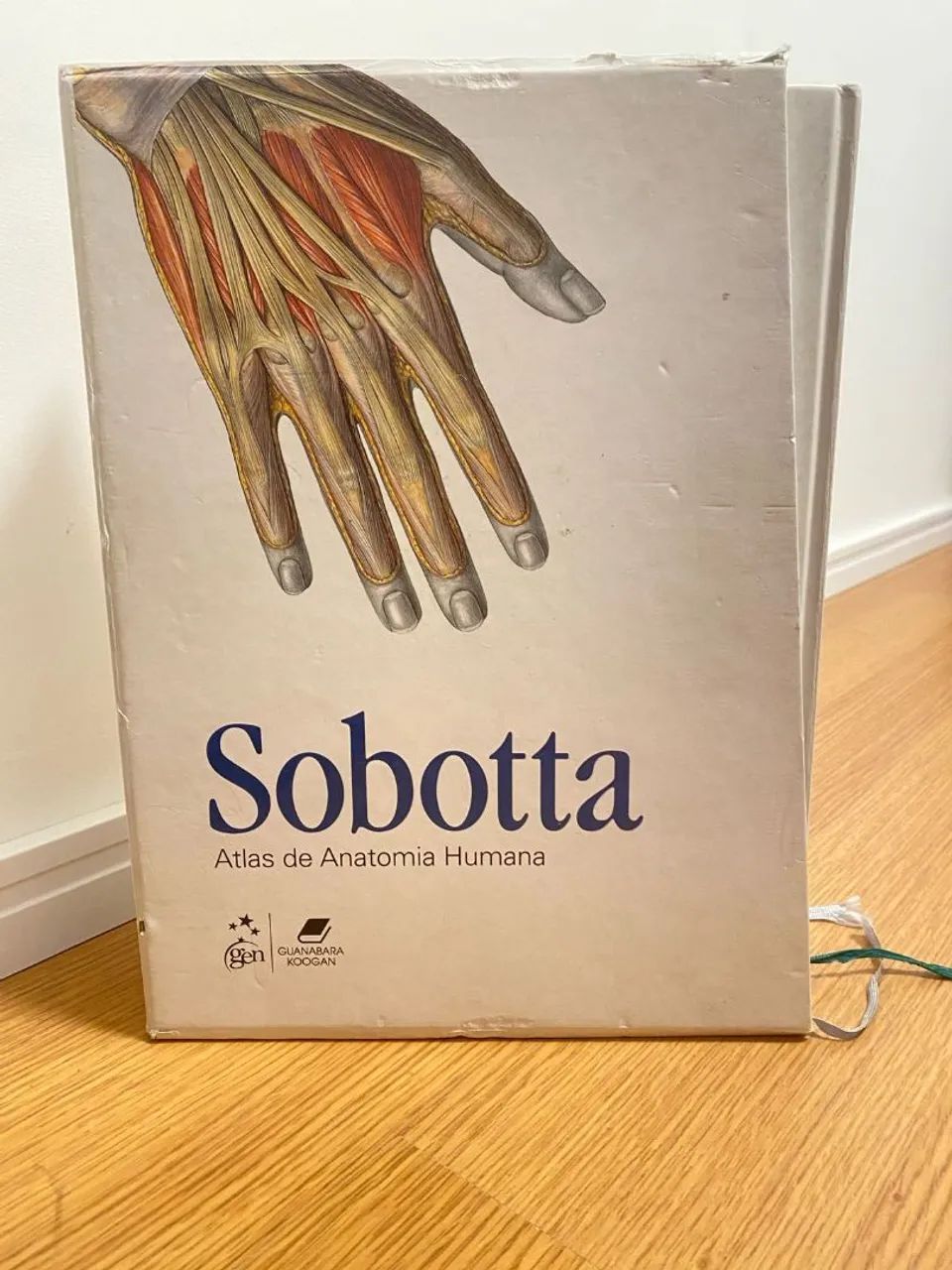 Sobotta Anatomia - Livros de Anatomia Humana - Foto 2