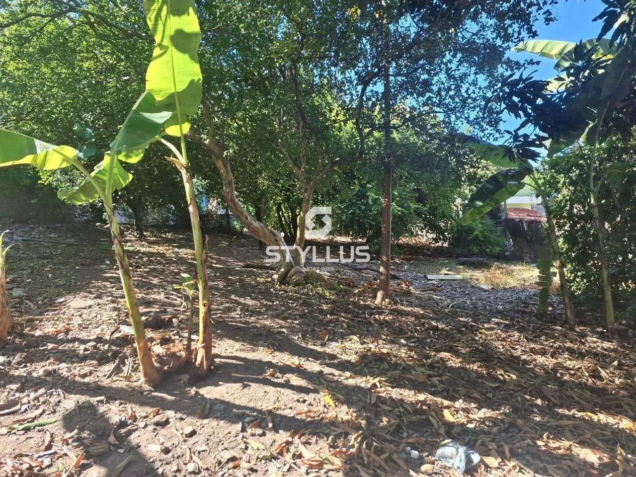 Maria da Graça | Terreno - Foto 15