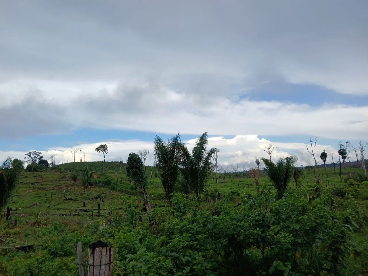 Fazenda com 100 hectares - Foto 3