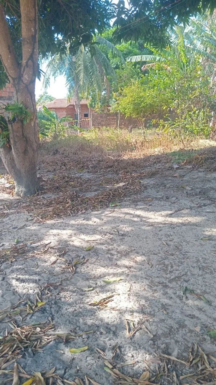 Terreno 12×30  - Foto 5