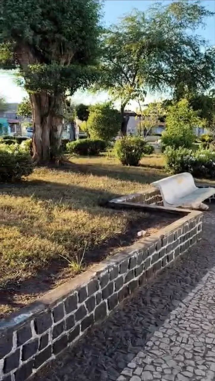Casa no Bravo  - Foto 2
